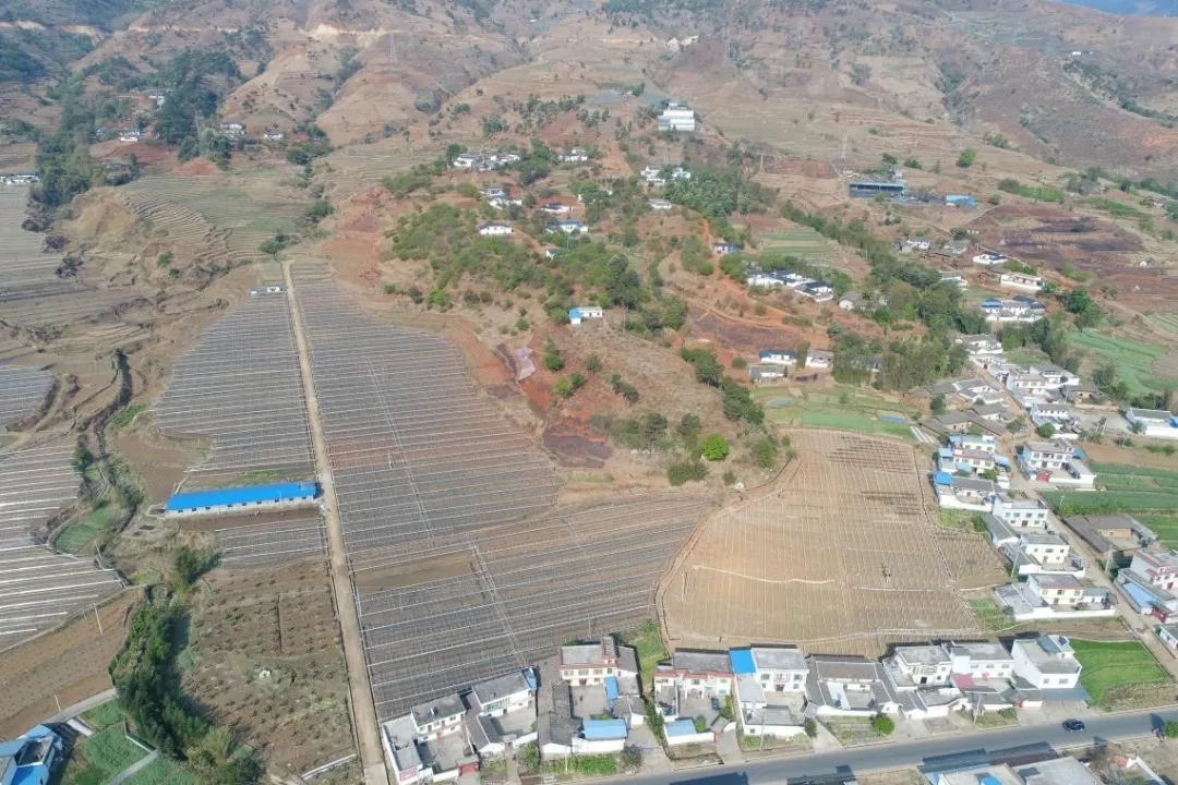 生態(tài)葡萄園基地航拍圖